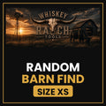 Random Barn Find XS